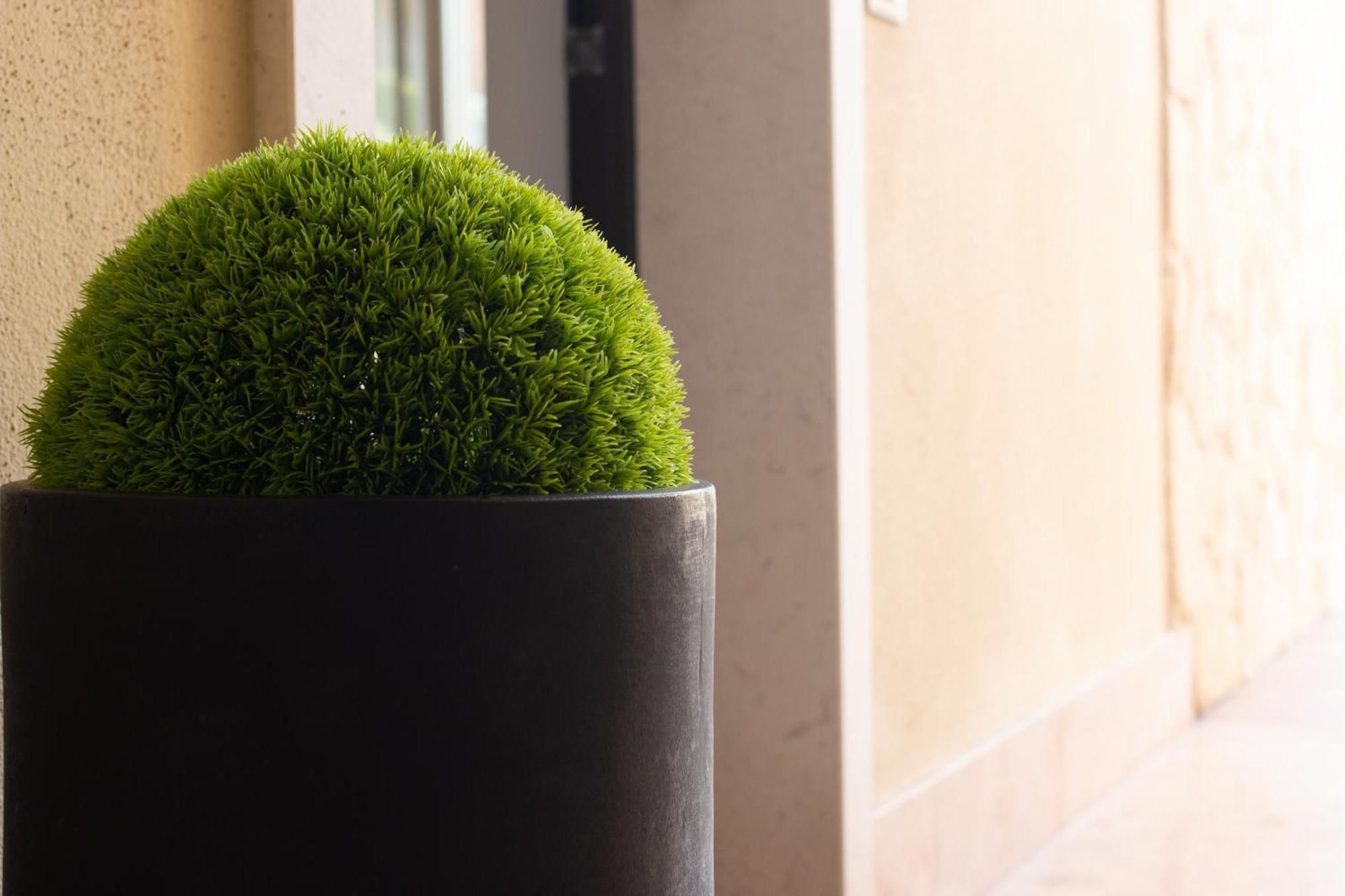 Vistaverde Harmony Apartments Cavaion Veronese Εξωτερικό φωτογραφία